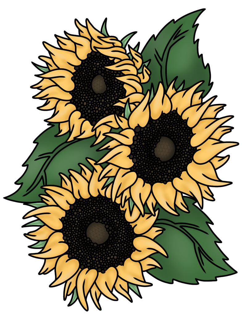 Sunflower Trio